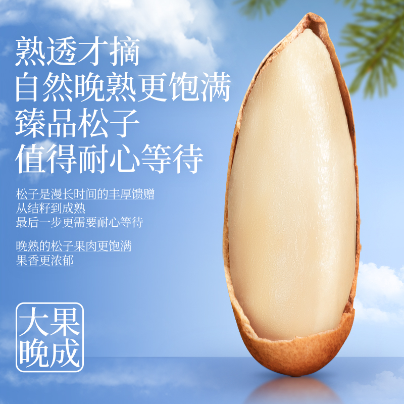 QiaQia Afghans peel pine nuts by hand - Image 4